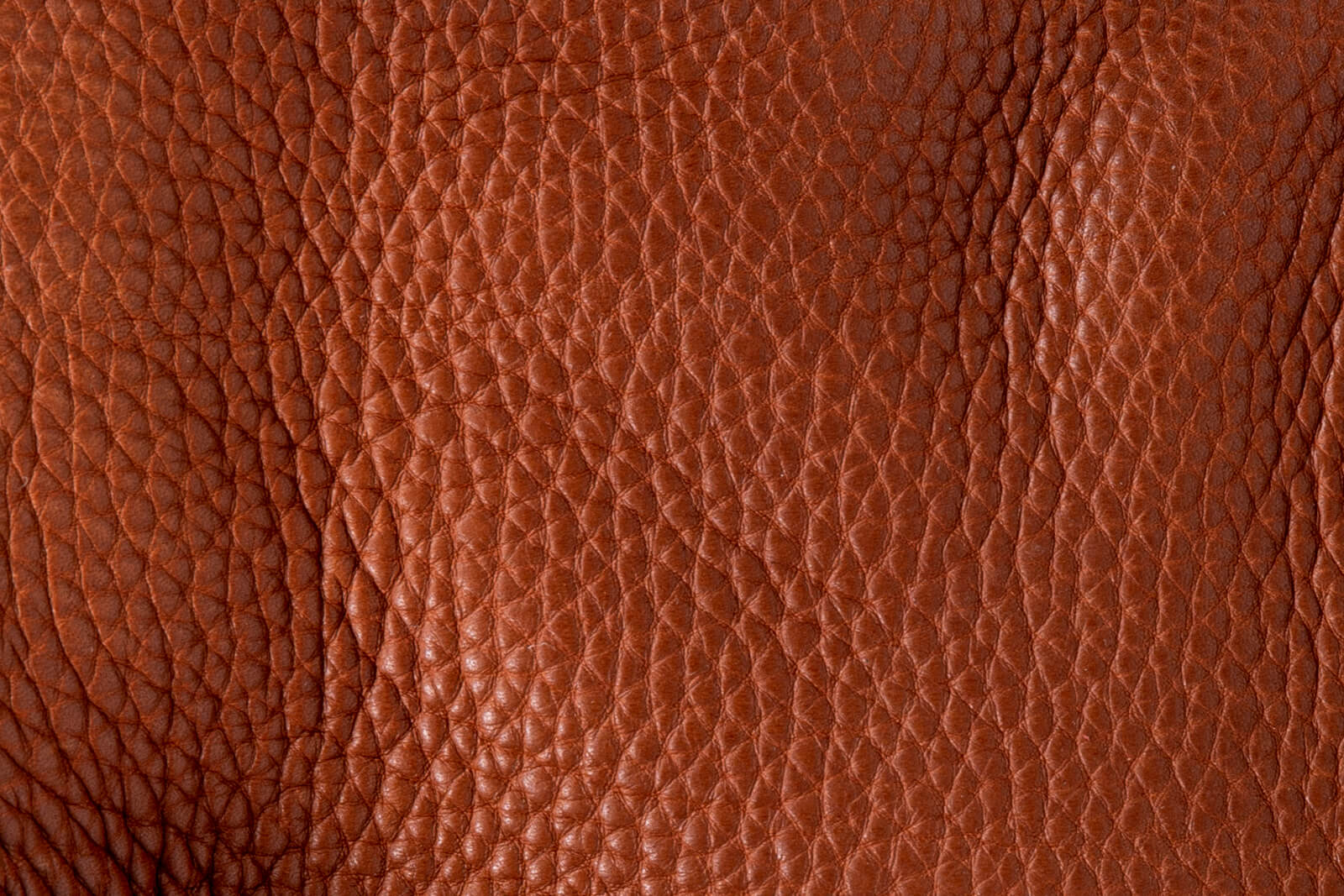 Soft Pebbled Leather
