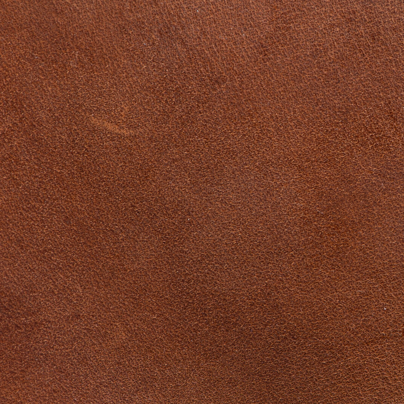 Cocoa Shell Color Colour Guide